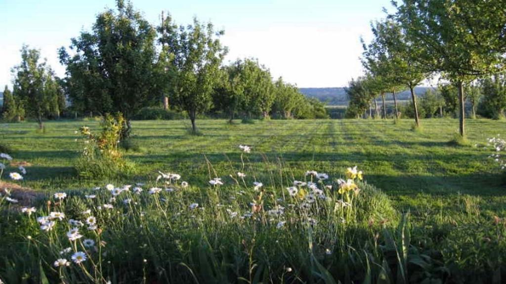Le Mont D'Auge Bed and Breakfast Canapville  Esterno foto
