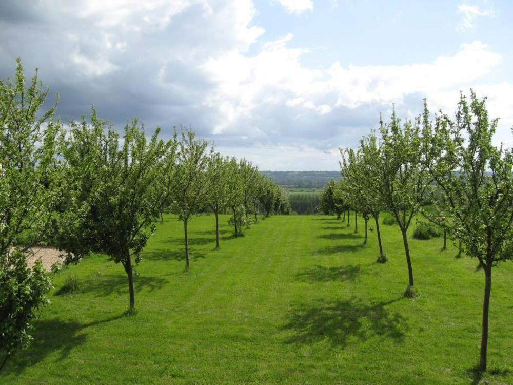 Le Mont D'Auge Bed and Breakfast Canapville  Esterno foto