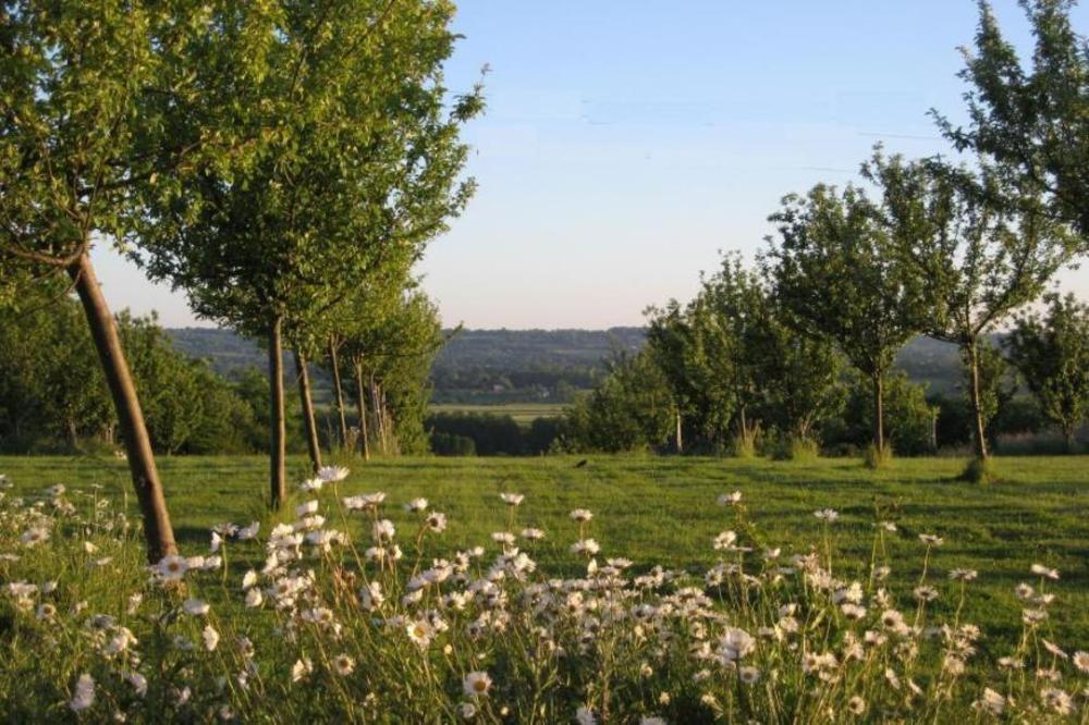 Le Mont D'Auge Bed and Breakfast Canapville  Esterno foto